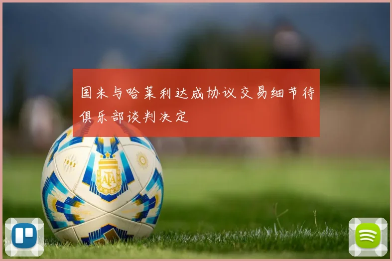 国米与哈莱利达成协议交易细节待俱乐部谈判决定